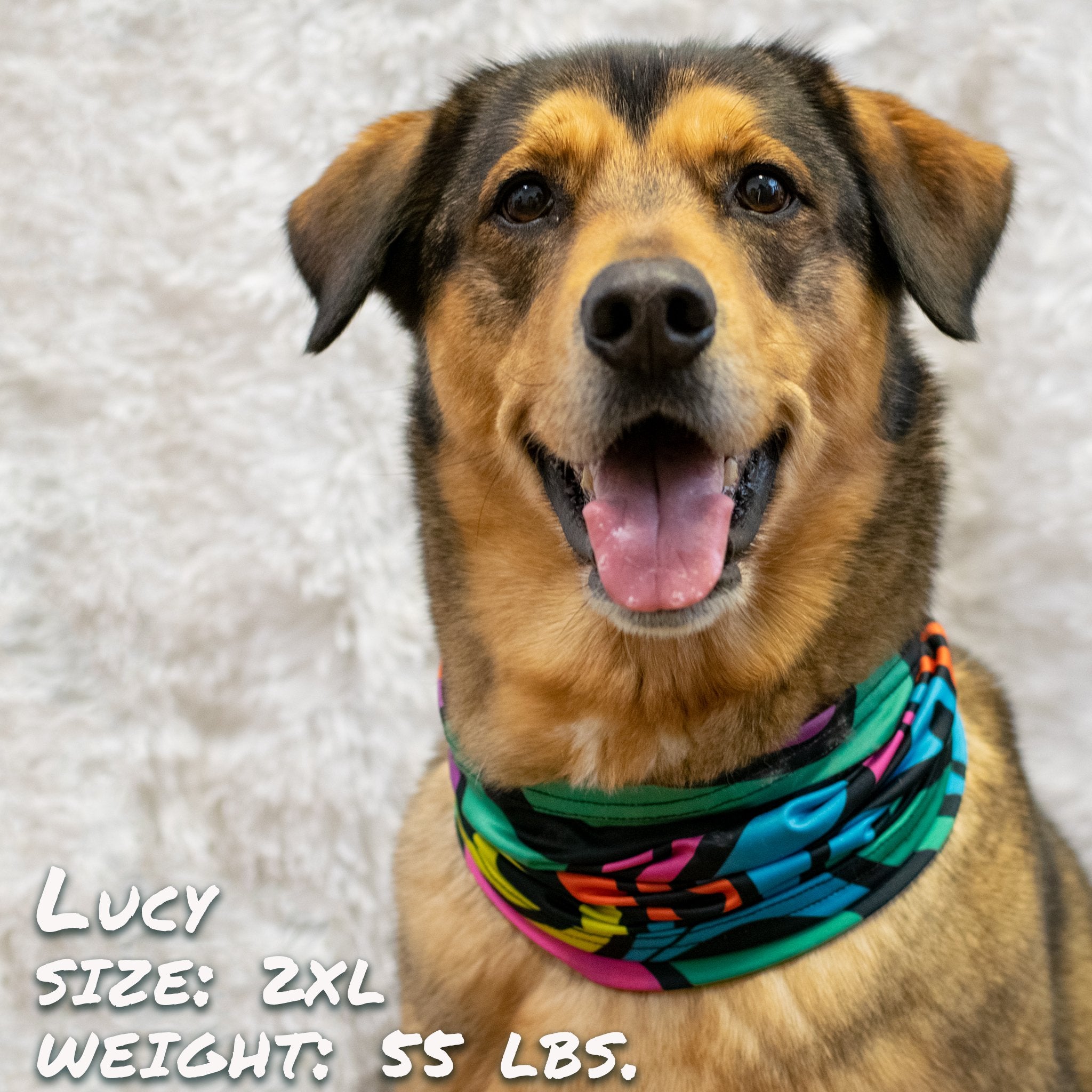 Sky Blue Prometheus Zoomies Pup Scruff leash with colorful, durable design for small dogs and puppies.